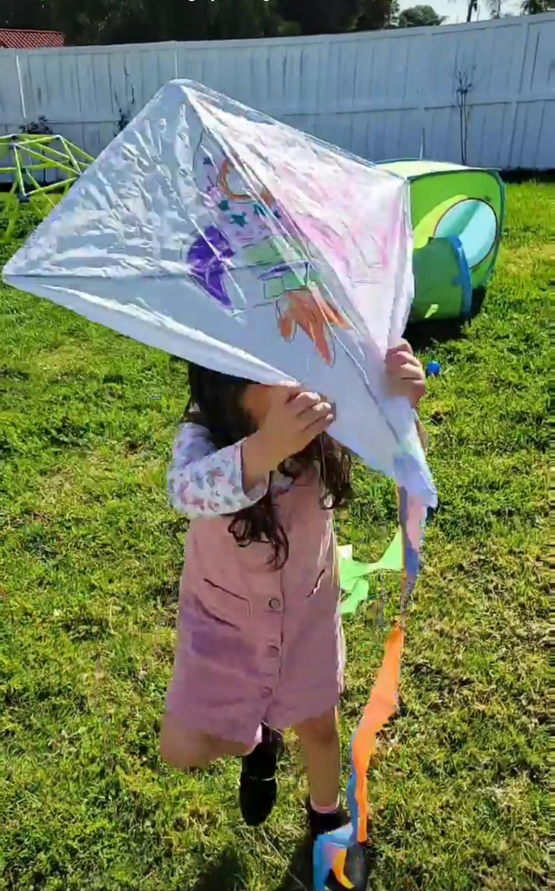 Child holding a kite over their head in a grassy area