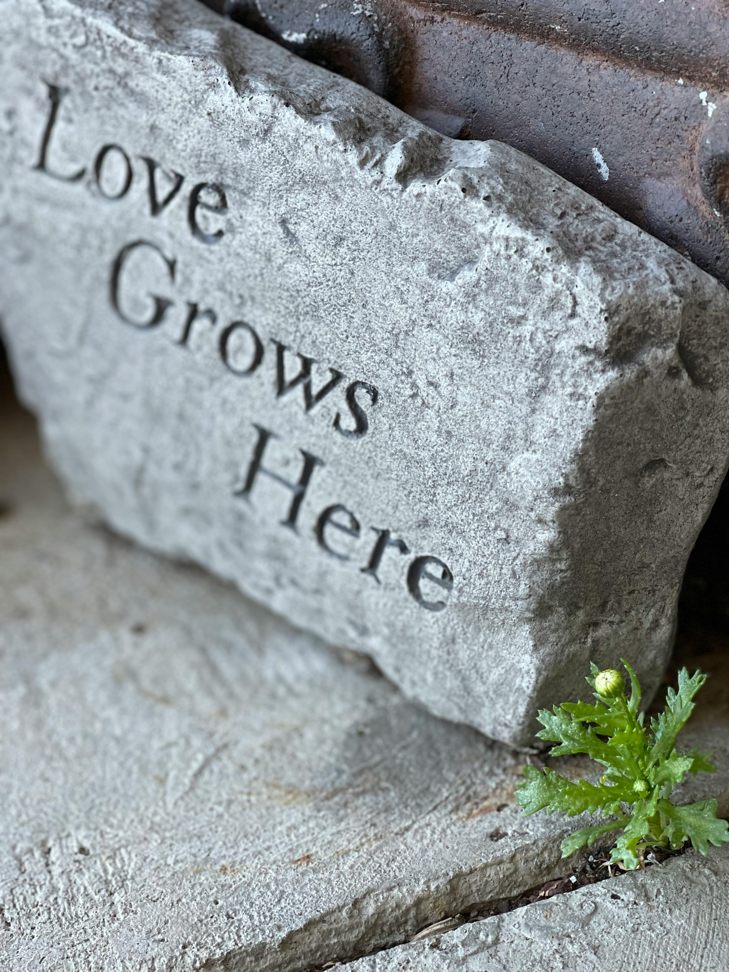 Stone with "Love Grows Here" carved into it, small plant growing nearby