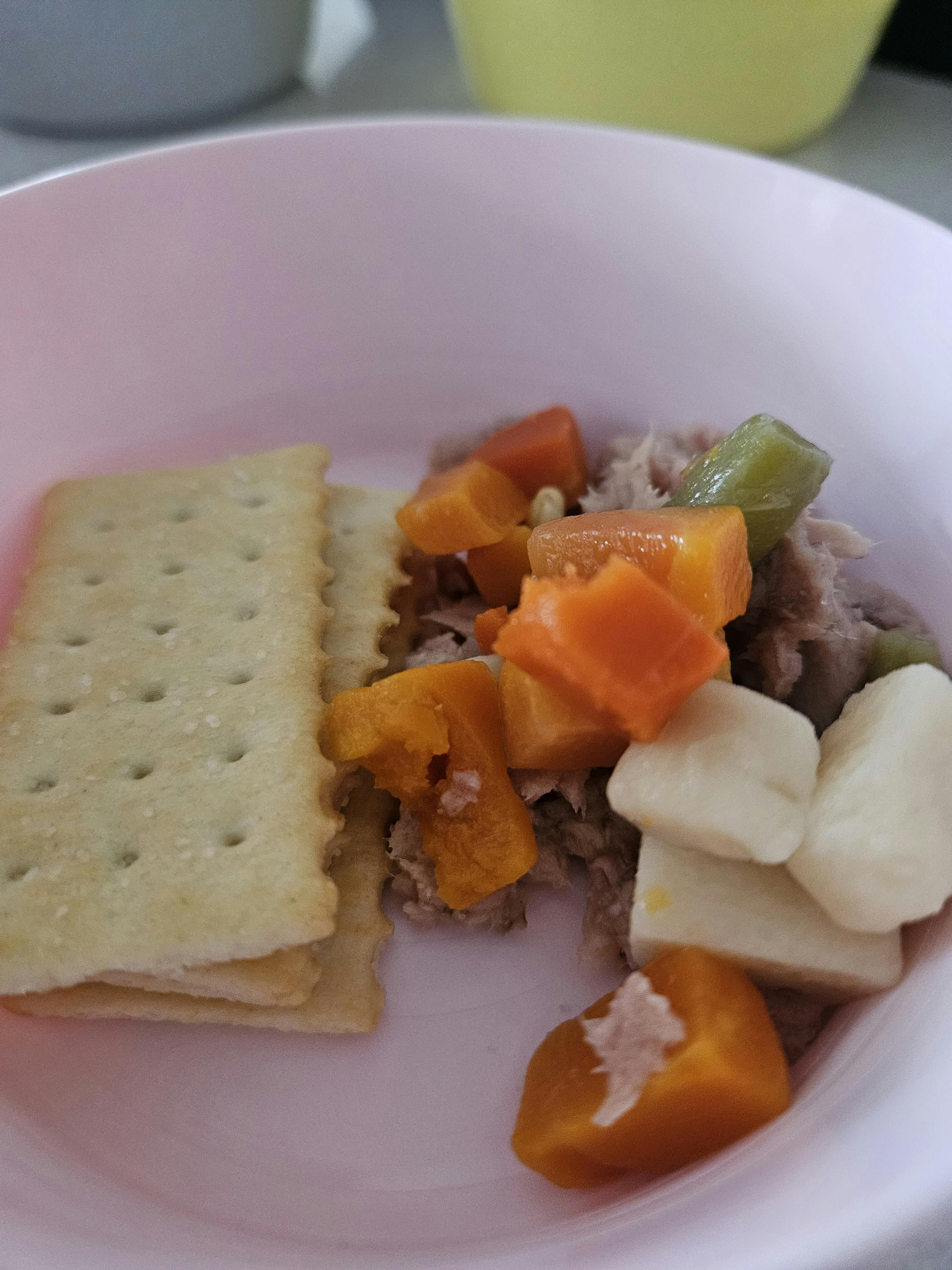 Tuna with chopped vegetables and crackers in a pink bowl