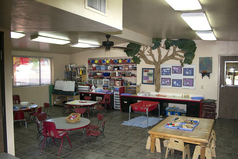 Classroom with small tables and chairs, shelves, and a tree mural