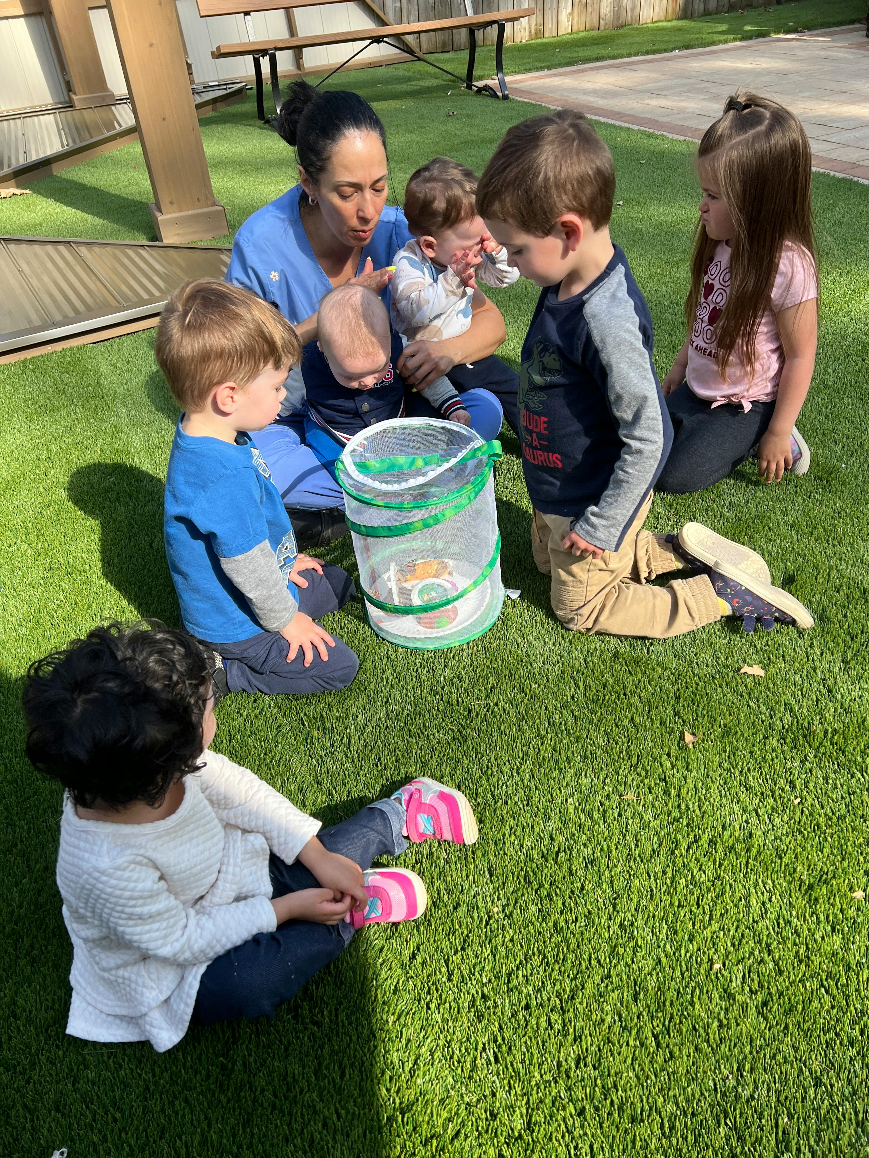 Adult and children gathered around a butterfly habitat on grass