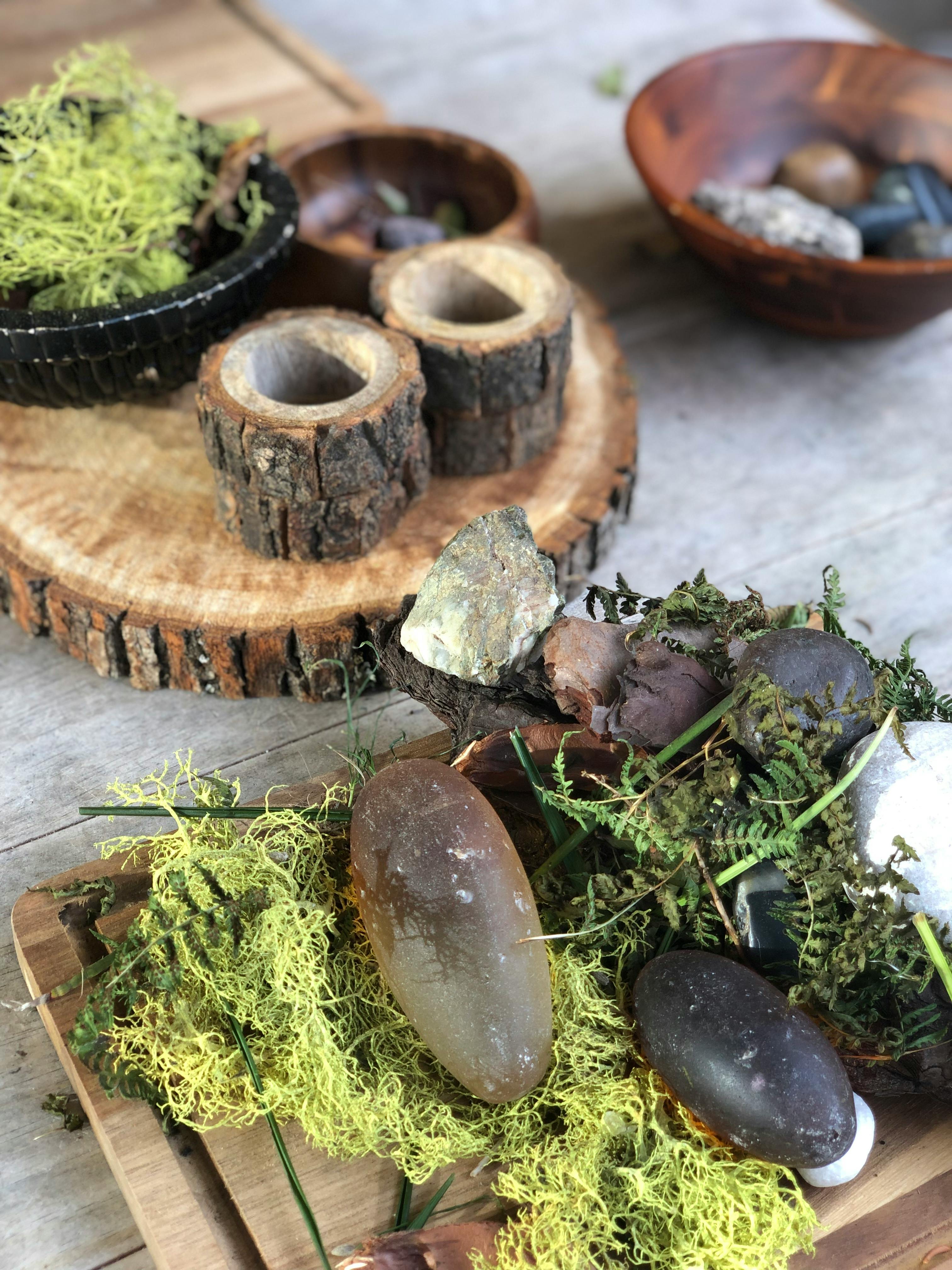 Wood slices, moss, and stones arranged on a surface