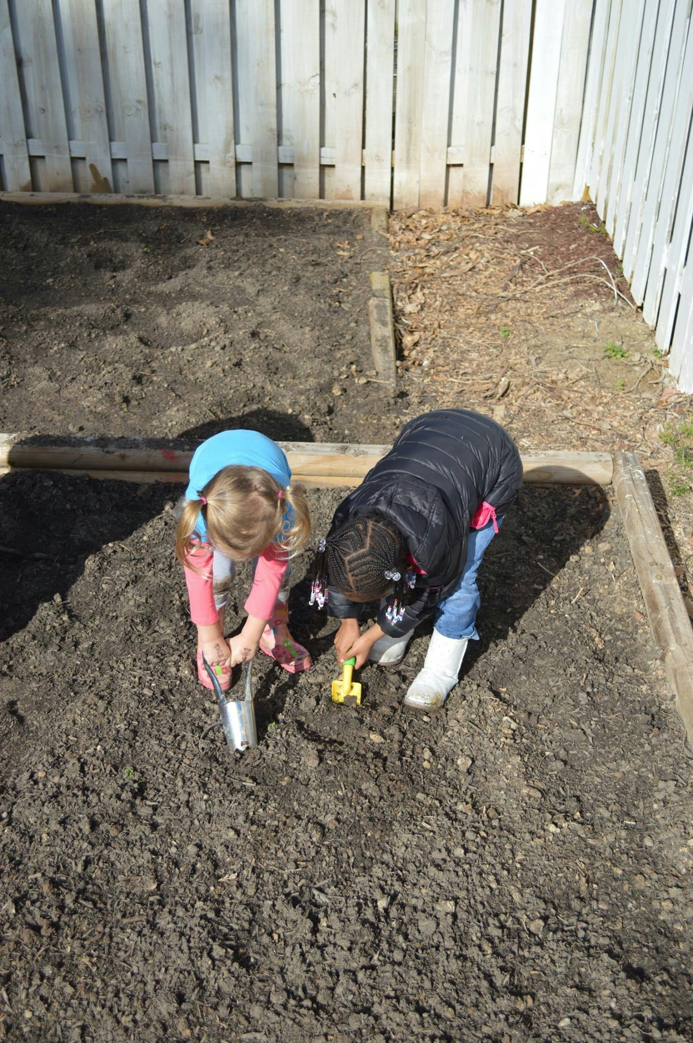 Two children digging in dirt with small shovels
