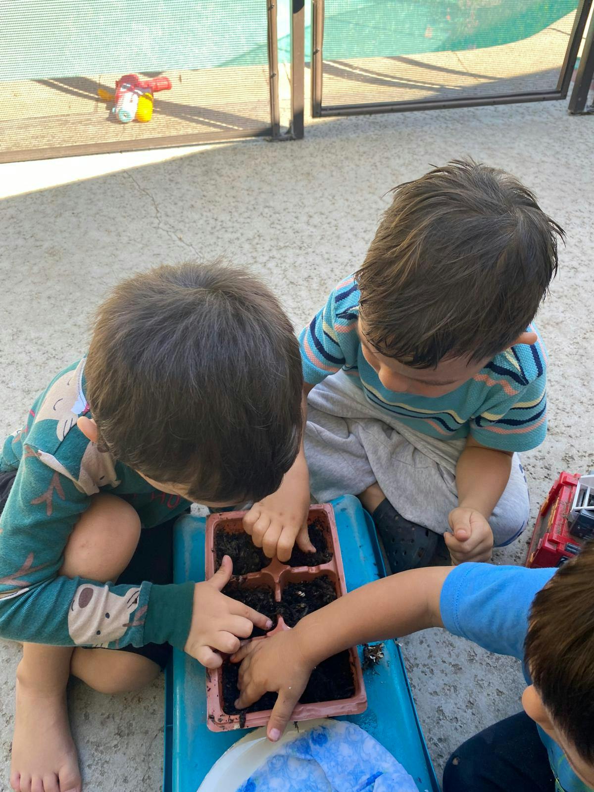 Three children planting seeds in a tray filled with soil
