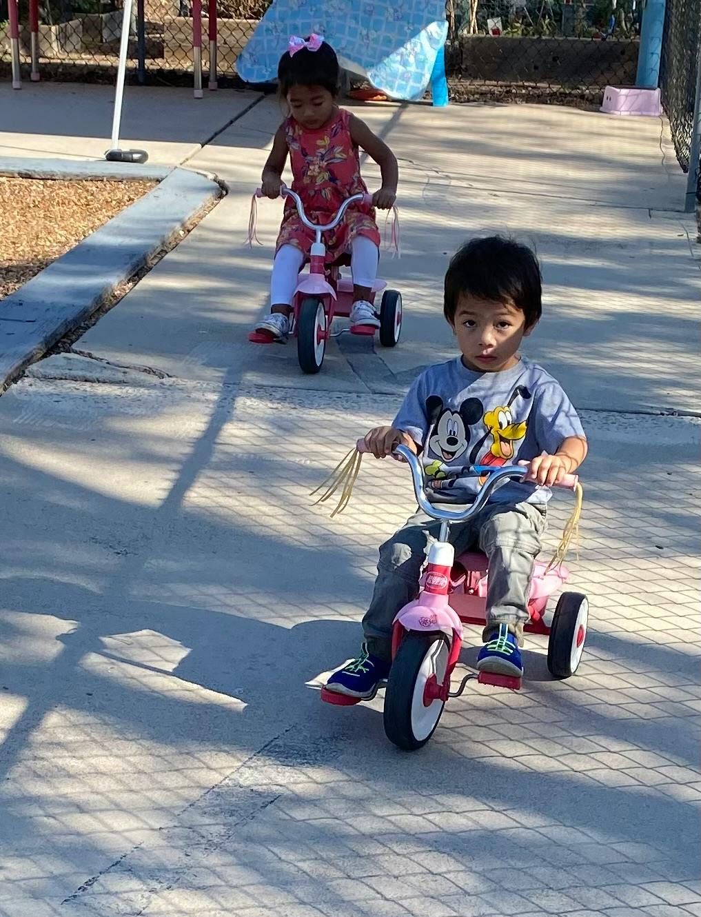 Two children riding tricycles outdoors