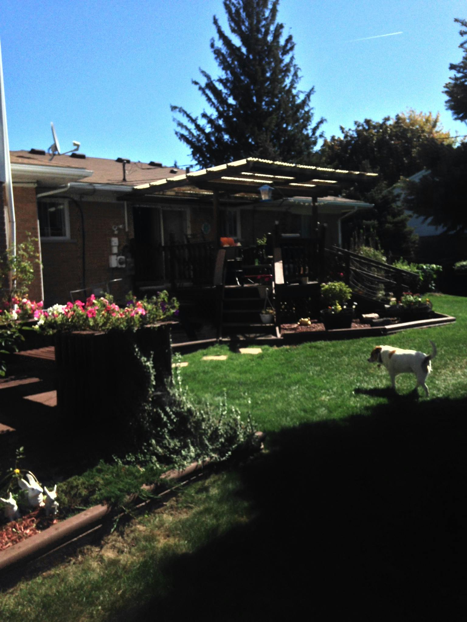 House with a deck and a dog in the yard