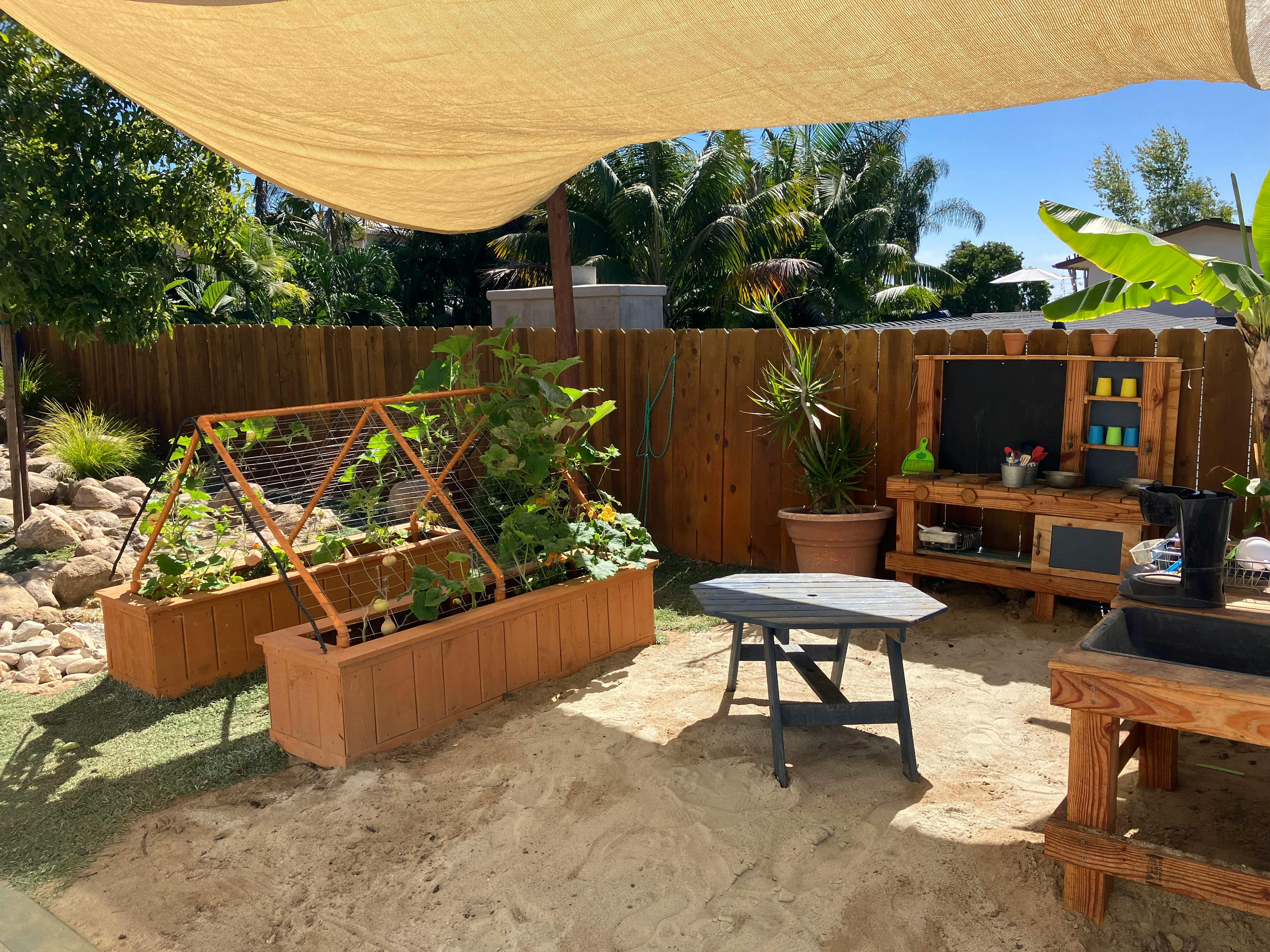 Raised garden beds with plants under a shade sail