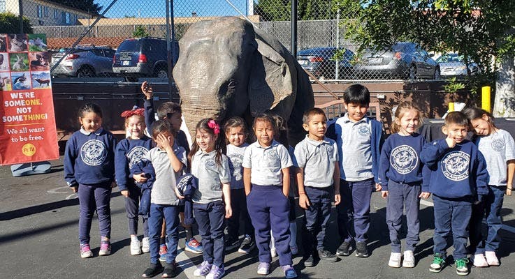 Children in uniform posing with an elephant statue and a PETA sign