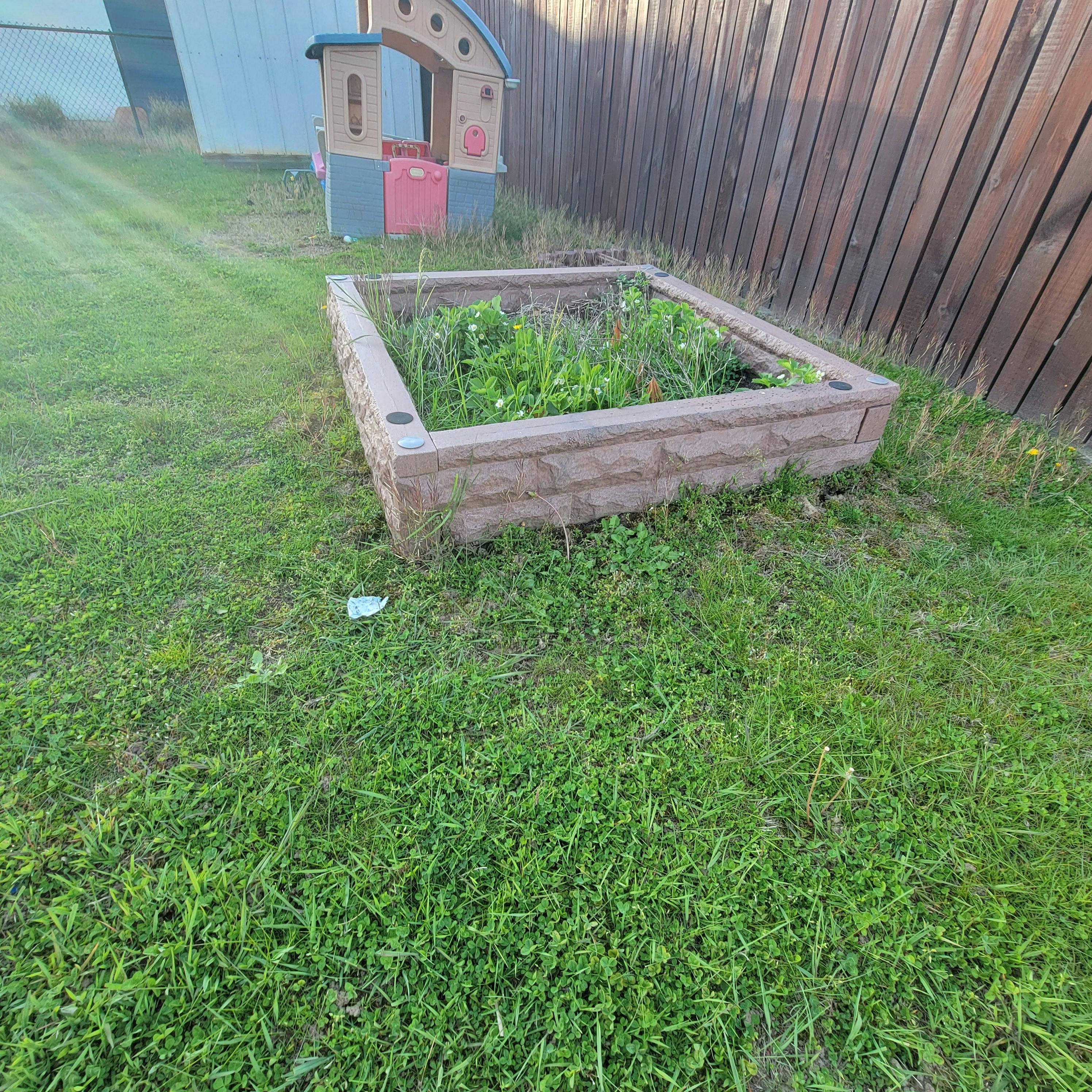 Raised garden bed with plants in a grassy yard