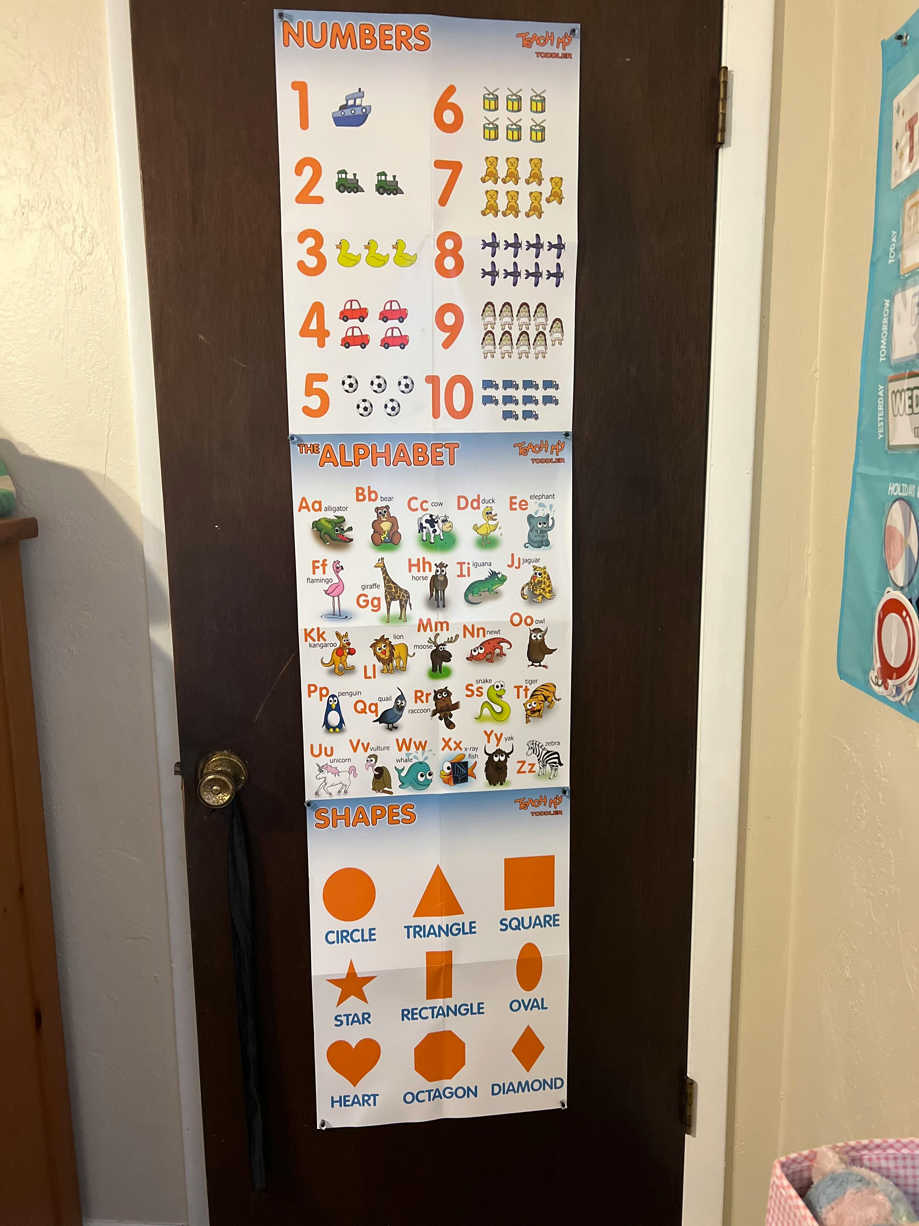 Educational posters for numbers, alphabet, and shapes on a door