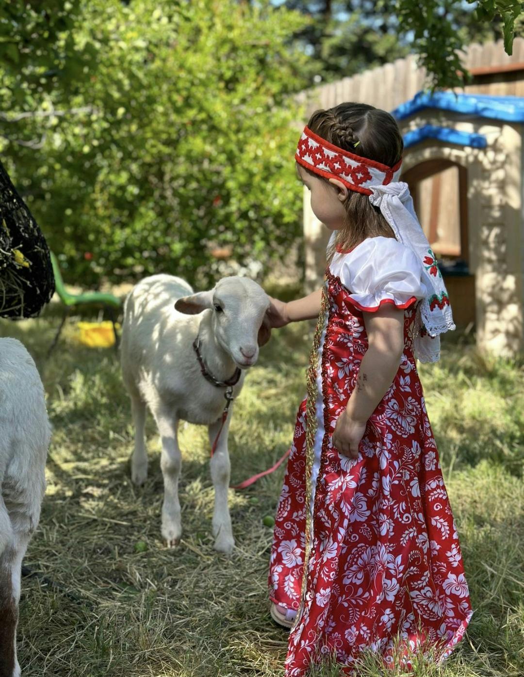 Child in a traditional patterned dress petting a white lamb