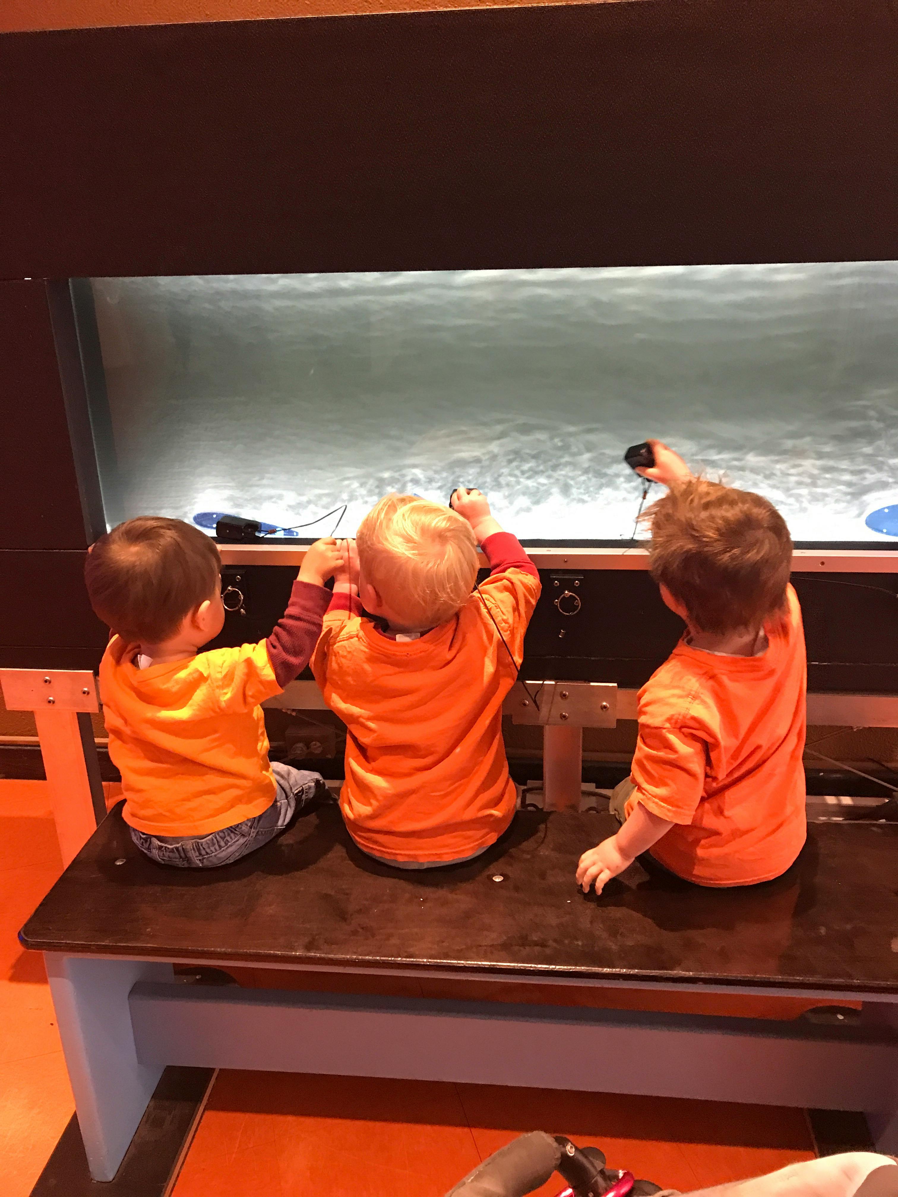 Three children in orange shirts looking into a display