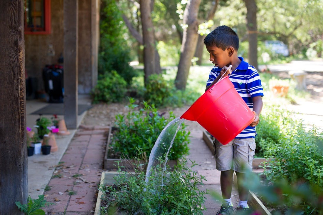 Child watering plants with a red watering can