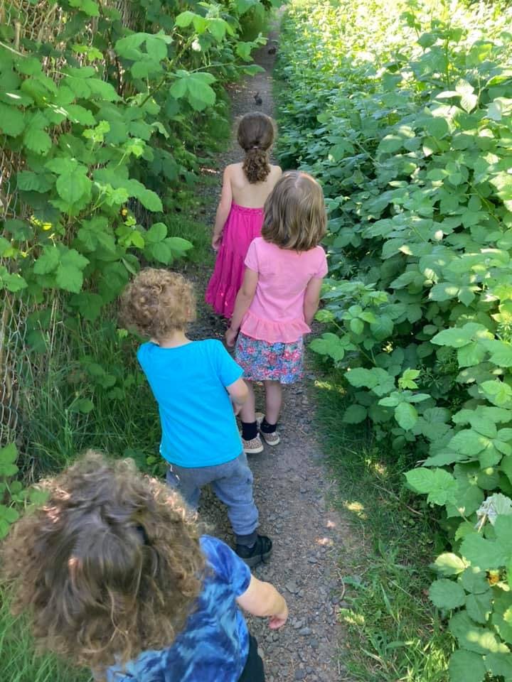 Four children walking on a narrow path through dense green foliage
