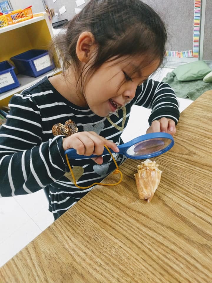 Child looking at a seashell with a magnifying glass