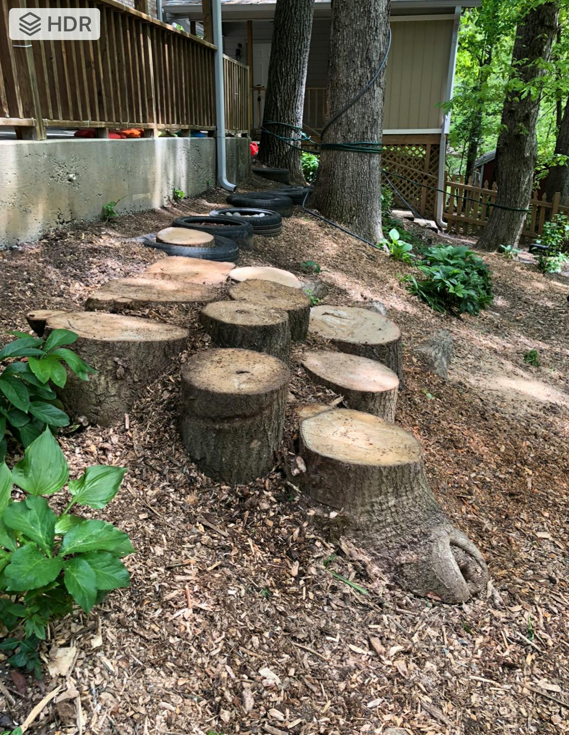 Tree stump steps and tires on a mulched hillside