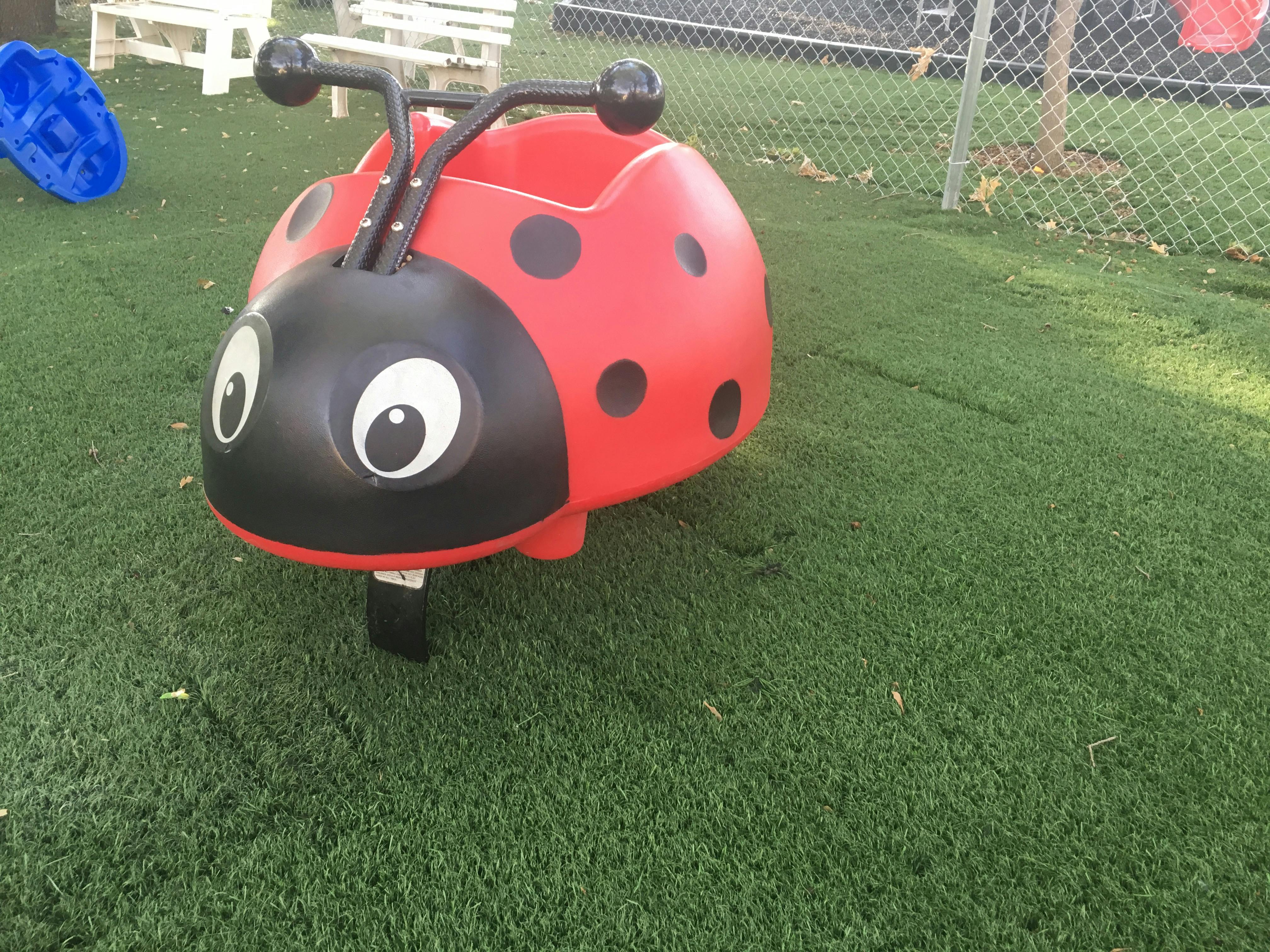 Red and black ladybug ride-on toy on green grass