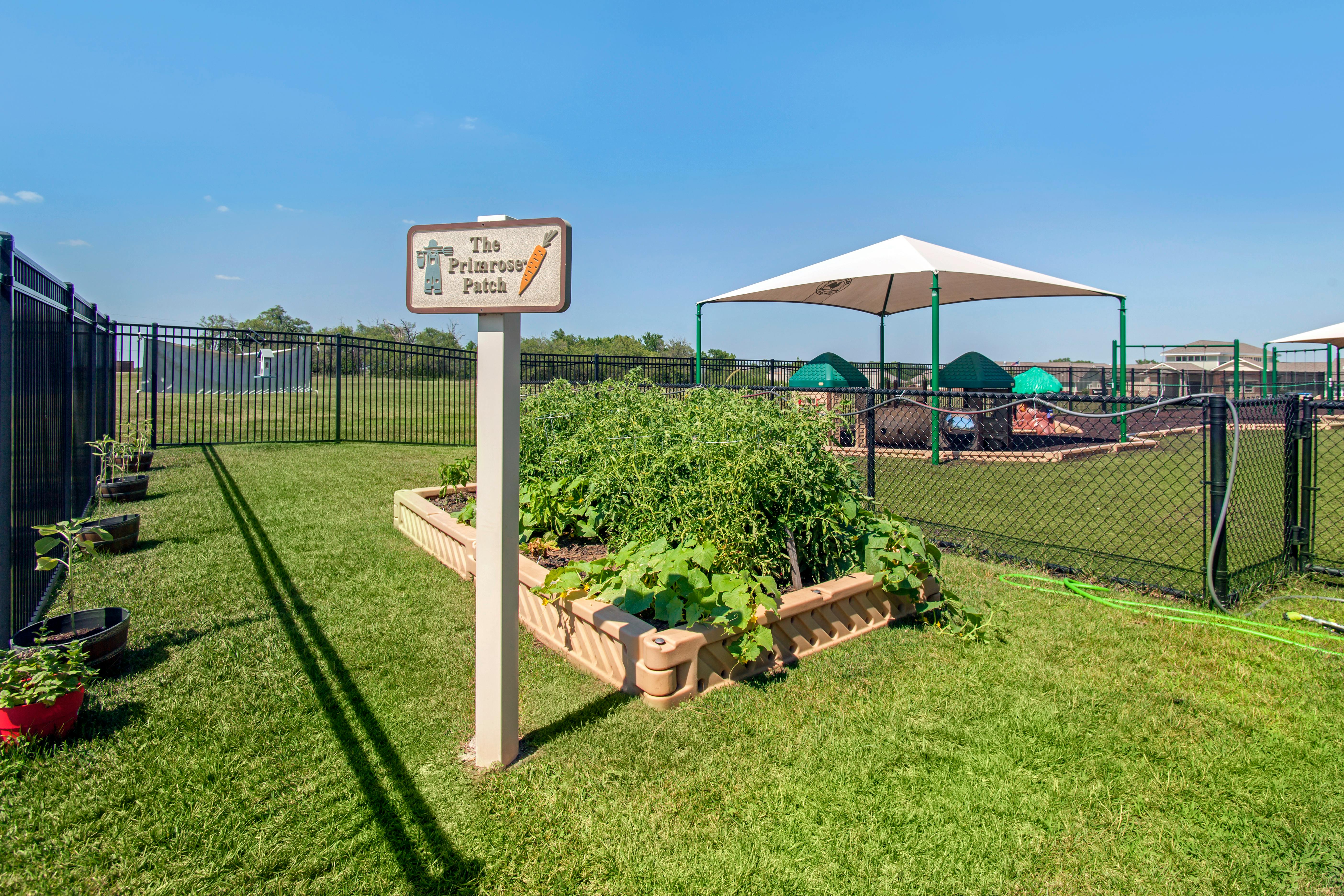 An outdoor garden with a sign that says The Primrose Patch, with a fence