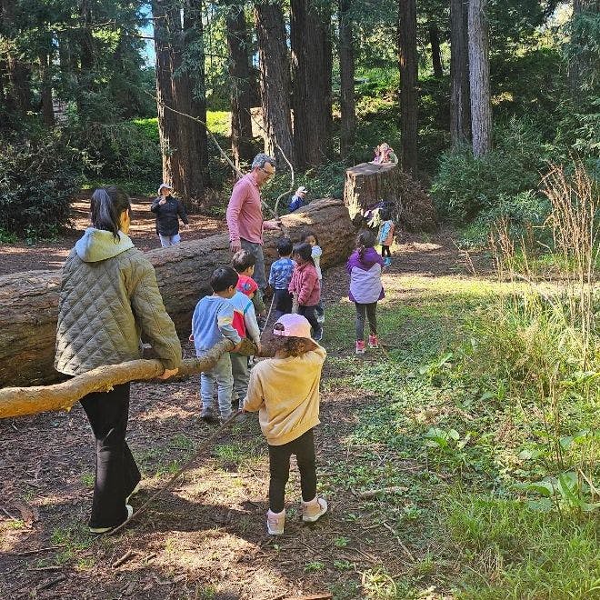 People and children walking in a forest with large fallen trees