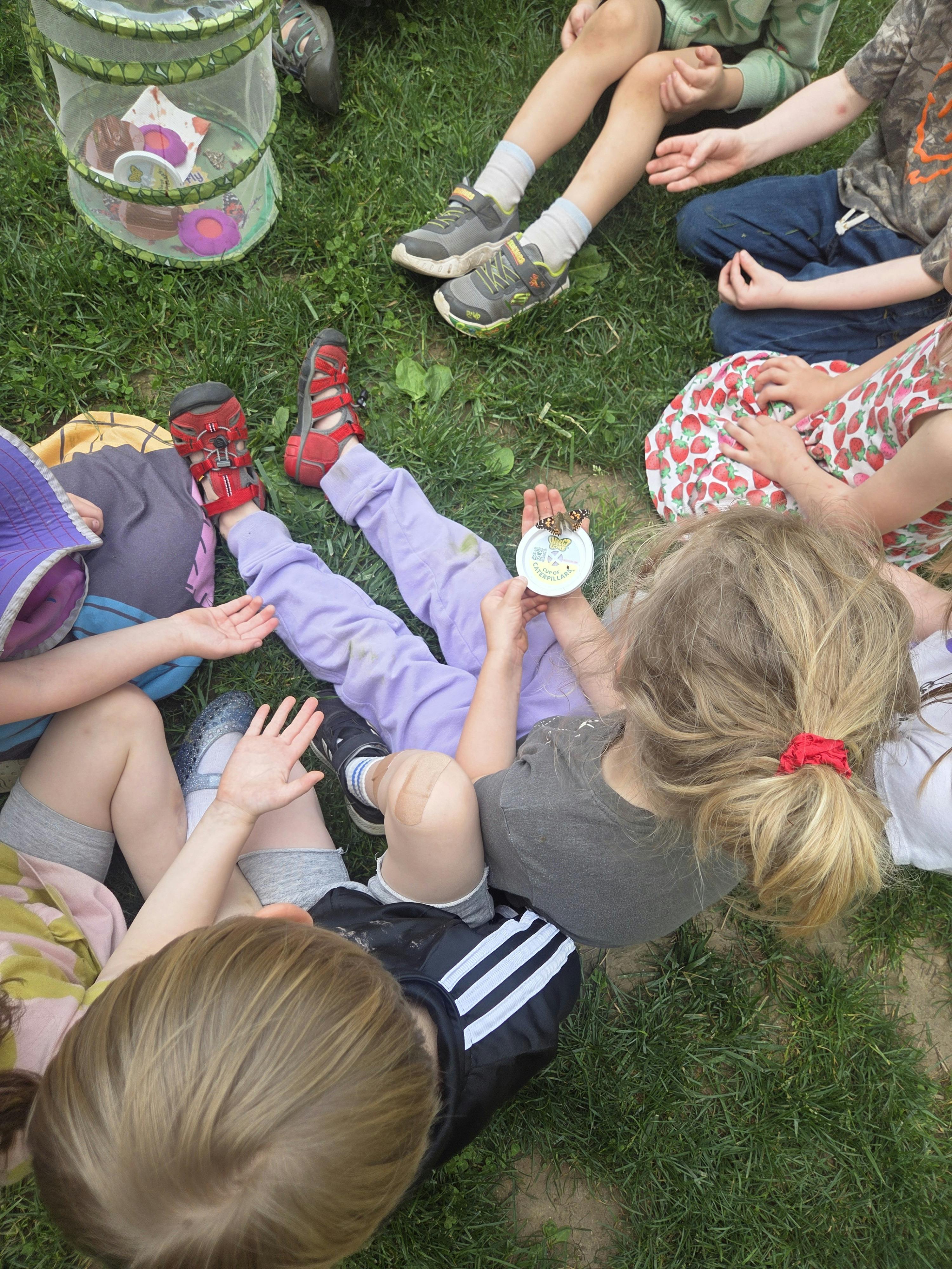 Children sitting on grass watching butterflies on a lid that says "Cup of Caterpillars"