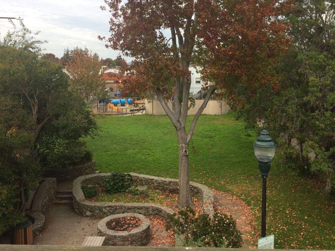 Outdoor area with a tree, green grass, stone fire pit, and lamppost