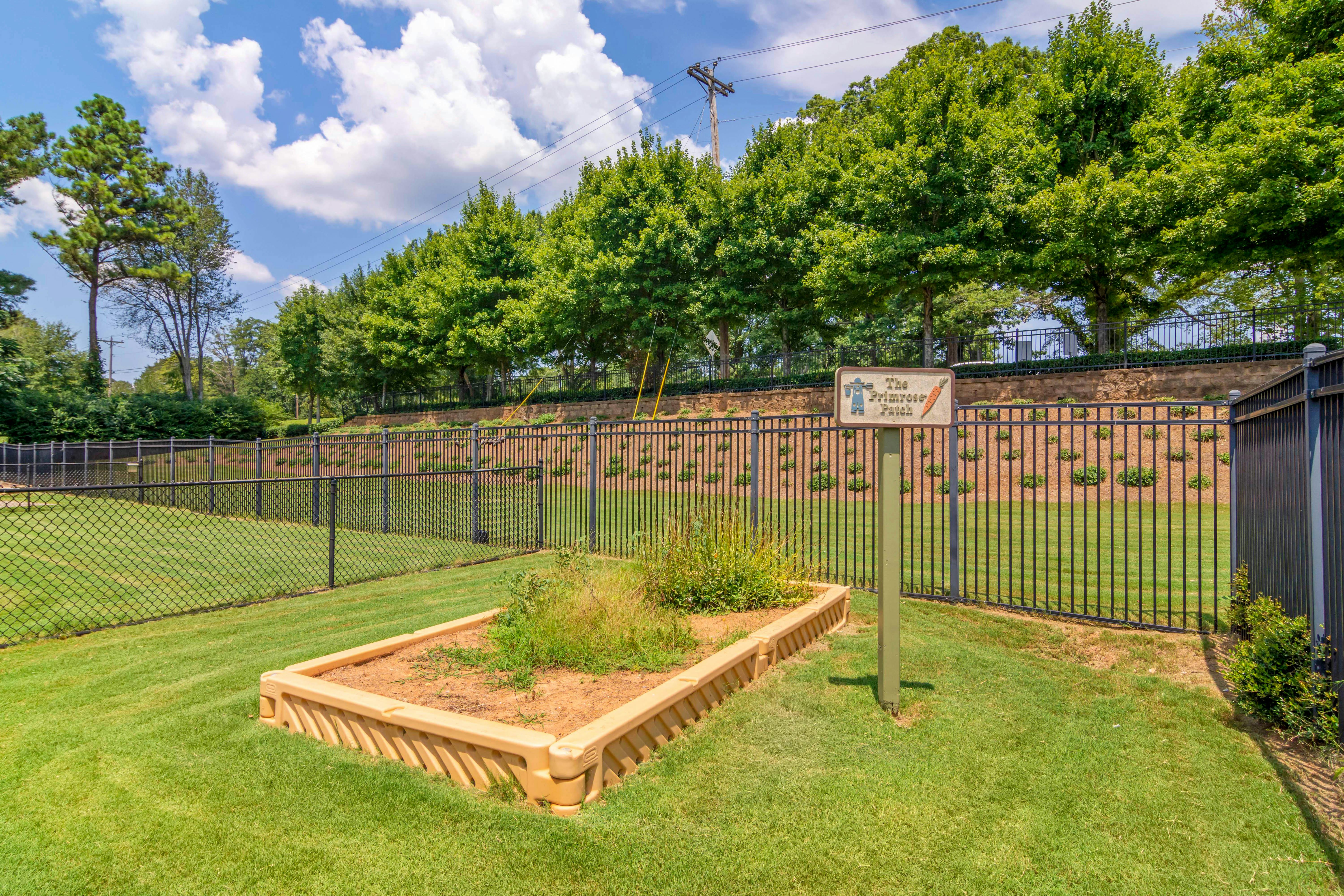 Raised garden bed with a sign reading "The Primrose Patch"
