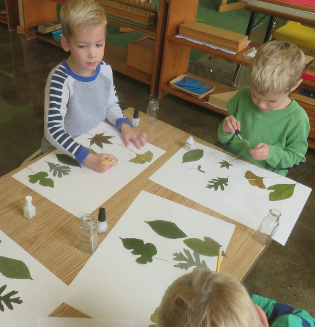 Children doing a leaf rubbing activity at a table