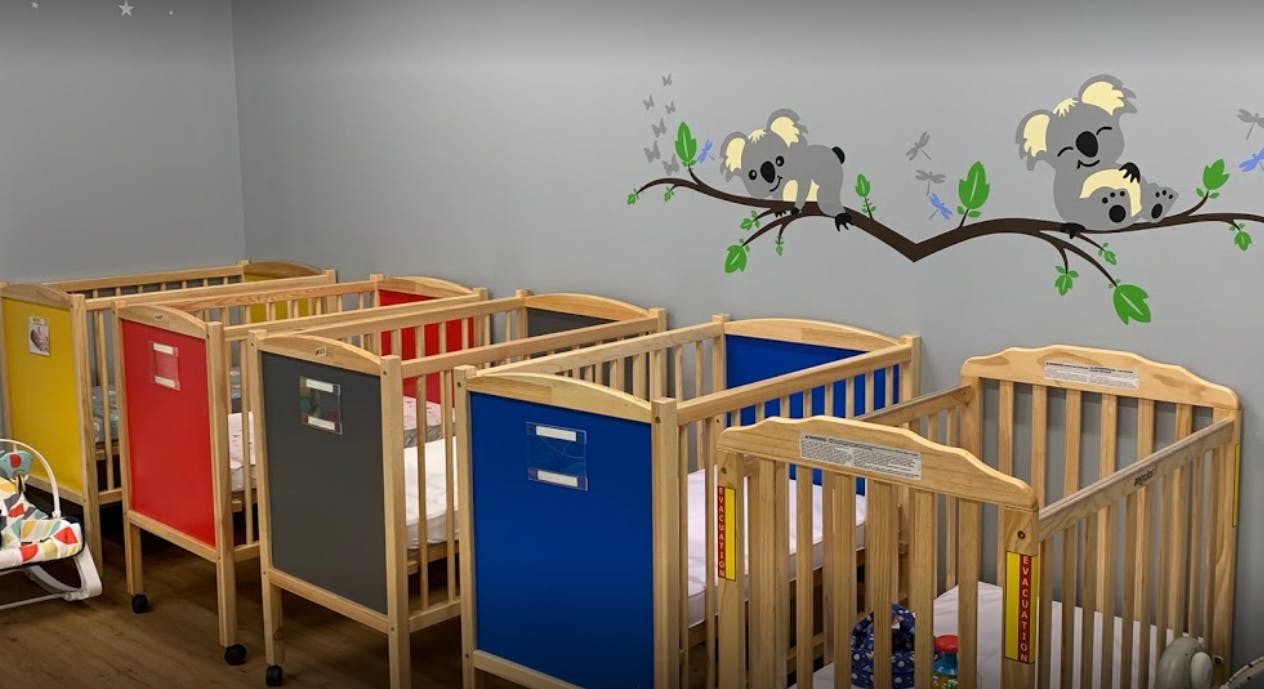 Multiple cribs in a room with koala wall decals
