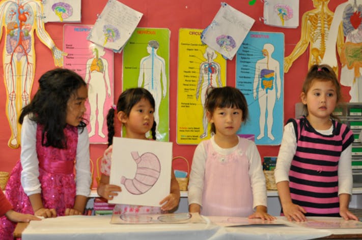 Four children in a classroom, one holding up a drawing of a stomach