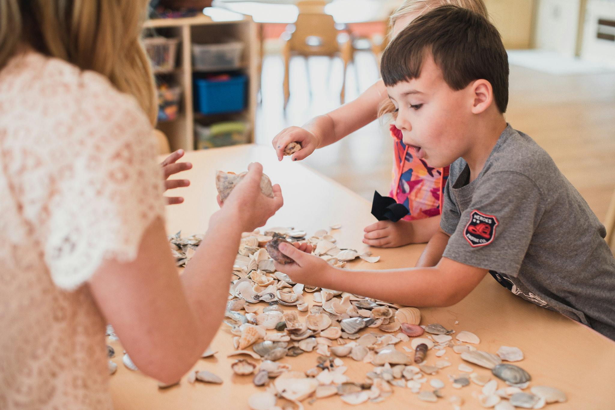 Adult and children sorting small shells on a table