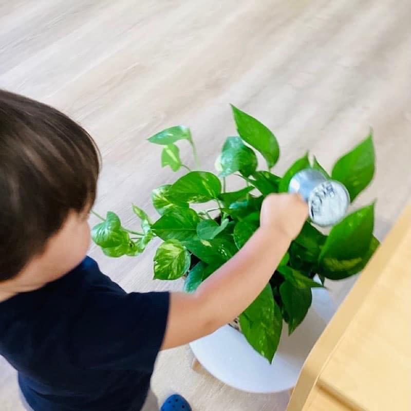 Child watering a potted plant