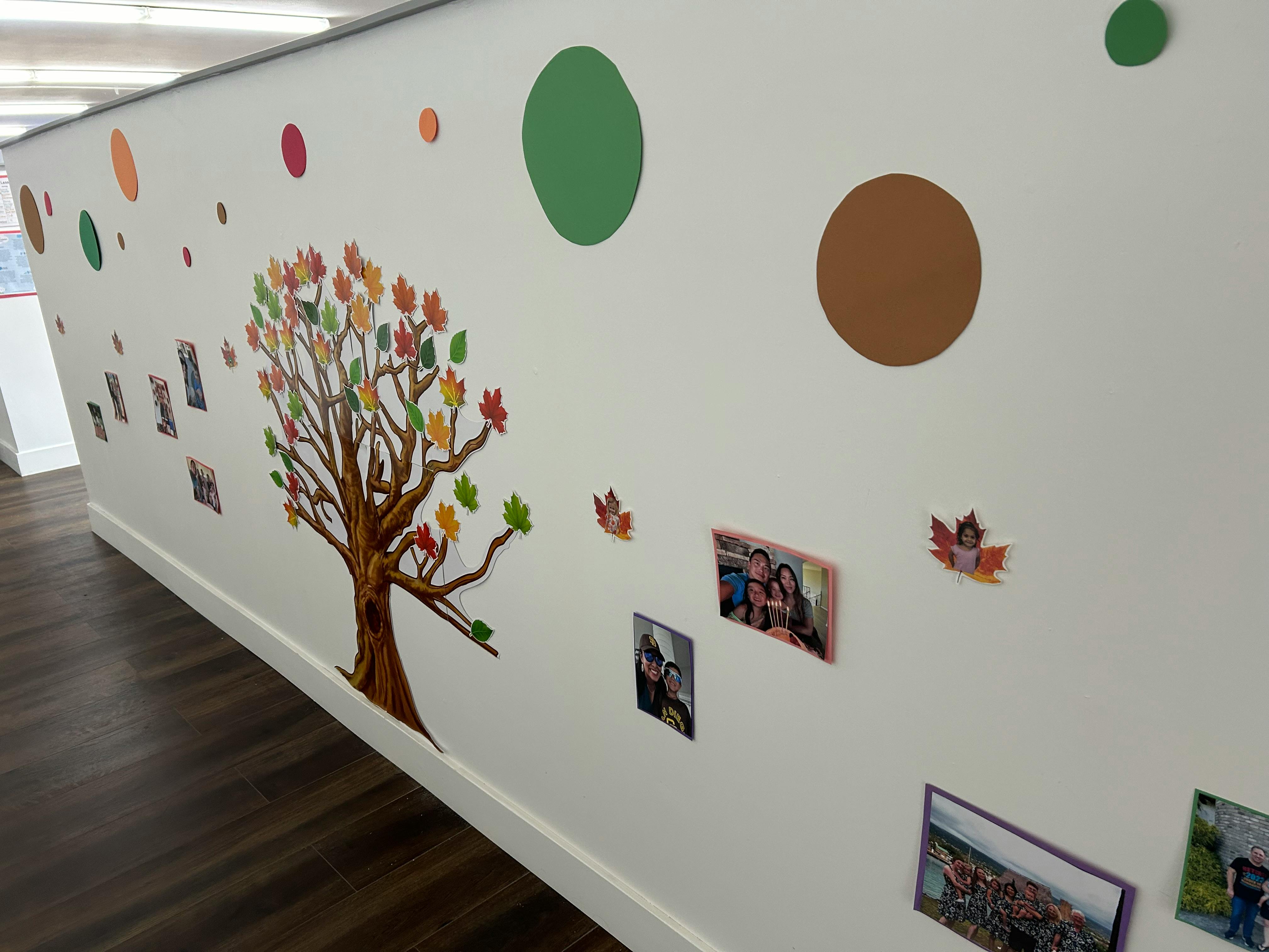 Wall decorated with a tree decal and photos