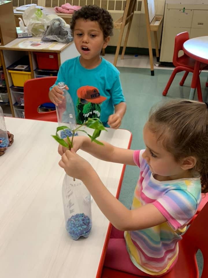 Two children at a table, one holding a plant in a plastic bottle