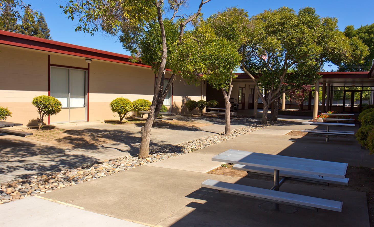 School building exterior with trees and picnic tables