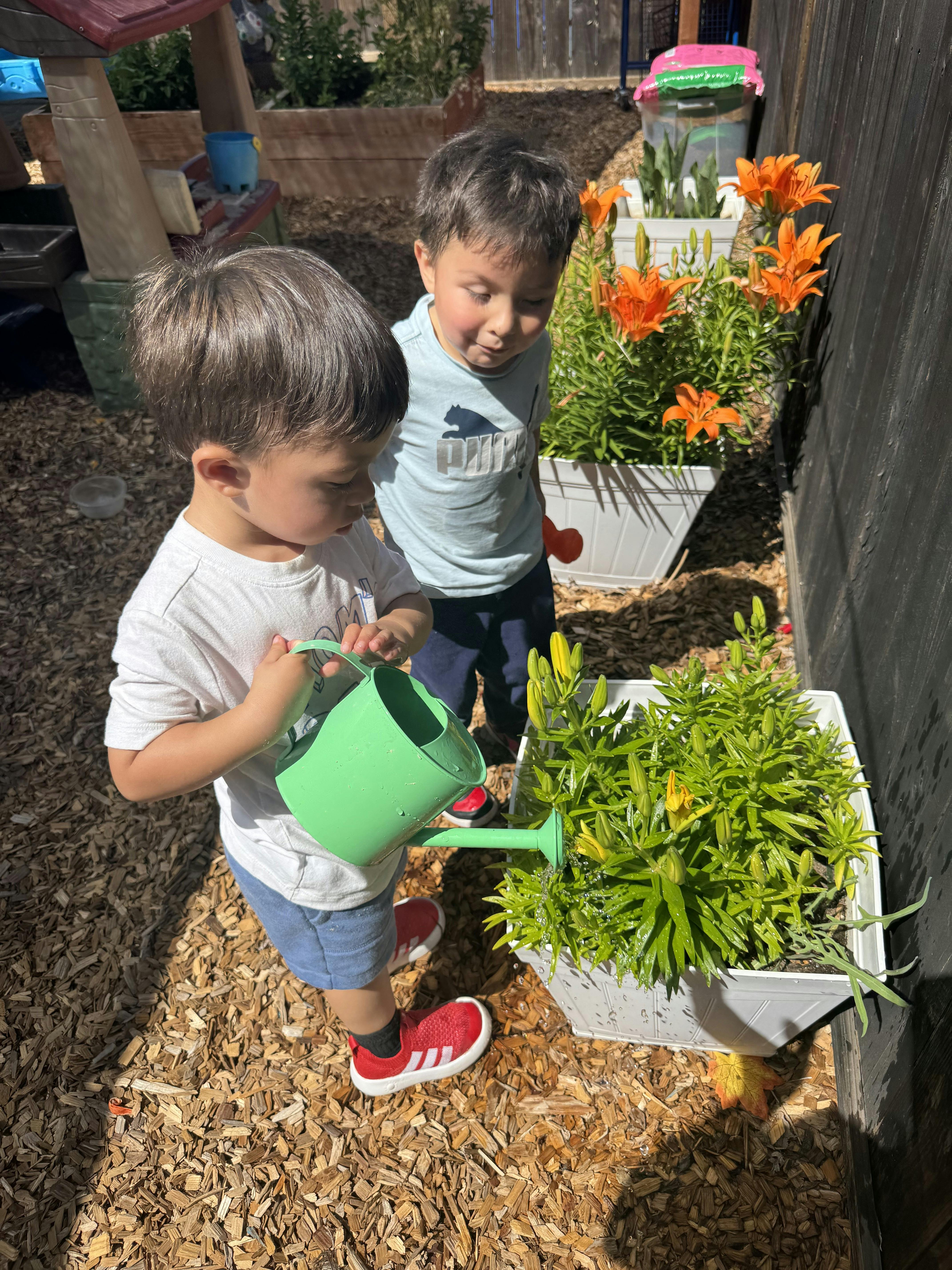 Two children watering plants in a garden