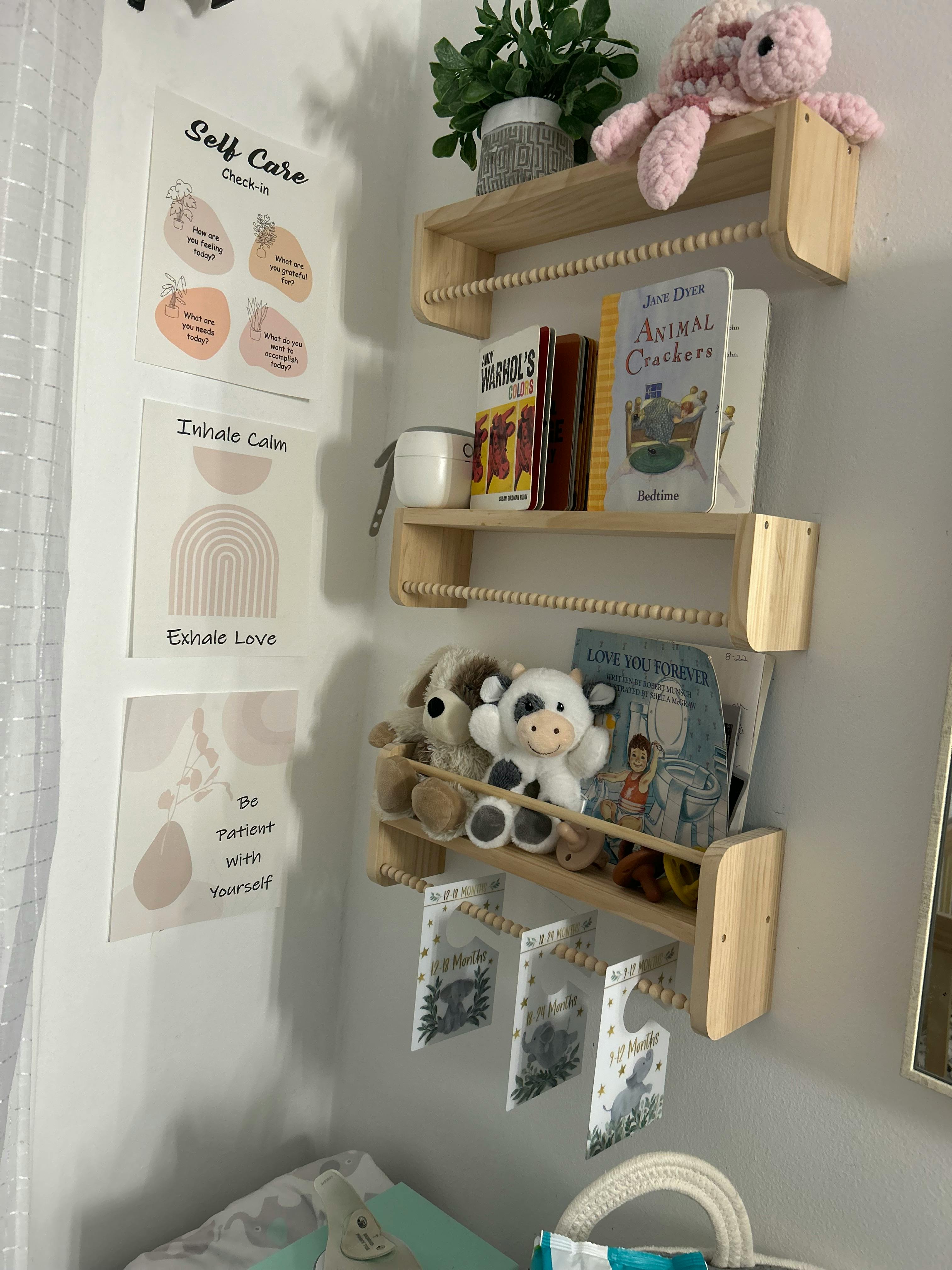 Wall-mounted wooden shelves with books and stuffed animals, next to wall art