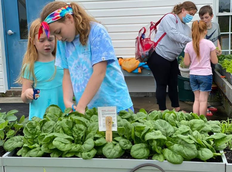 Children and adults tending to plants in a raised garden bed