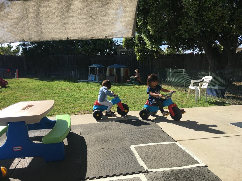 Two children riding tricycles outdoors