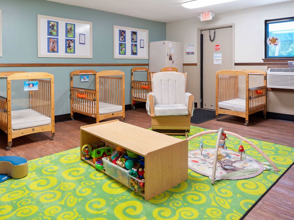 cribs in a daycare room with a green and yellow swirled carpet