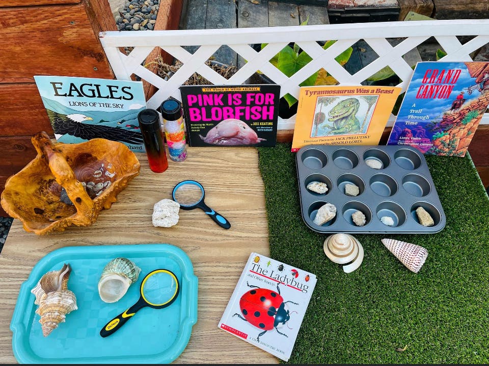Books, magnifying glasses, and shells on a table