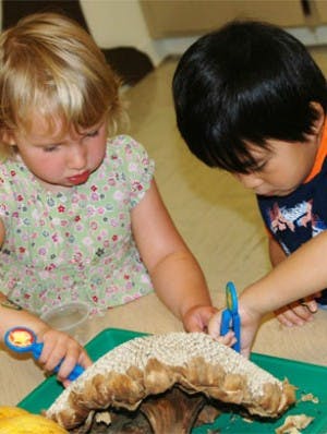 Two children cutting a large mushroom