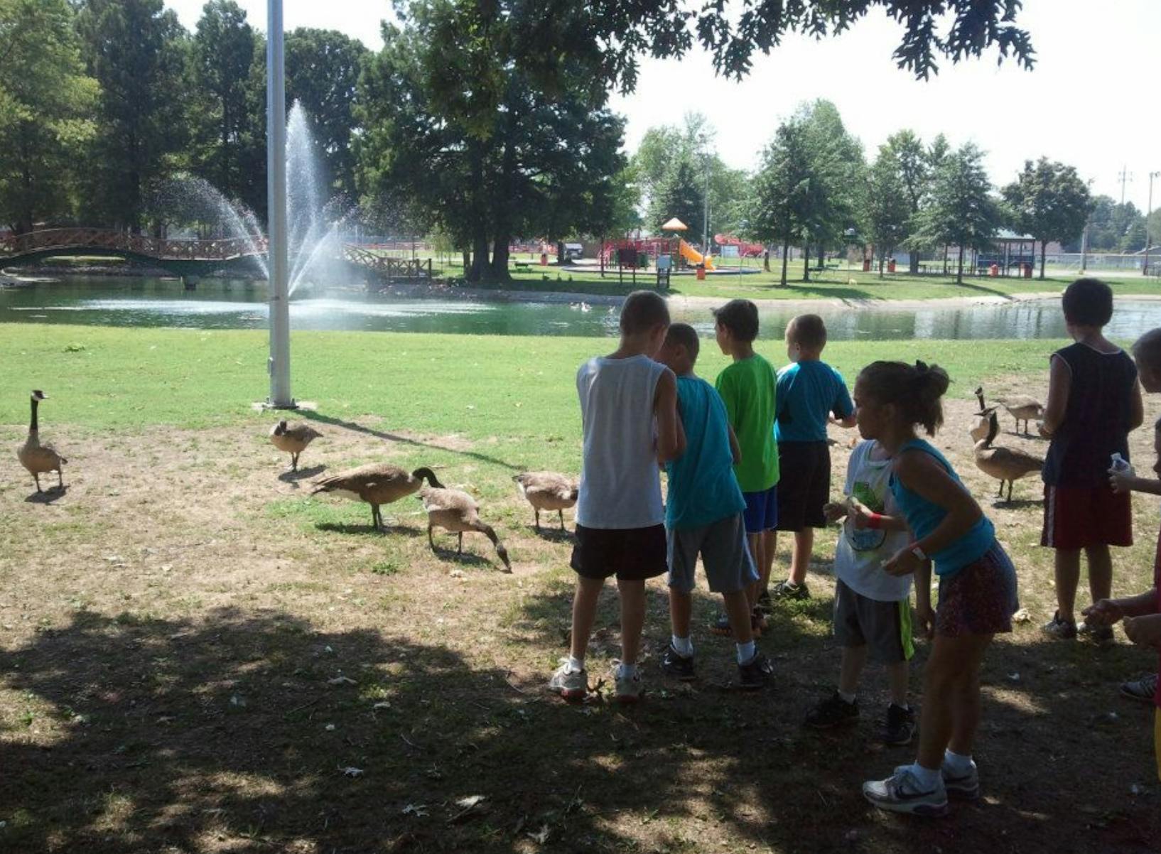 Children standing near geese in a park with a pond and fountain