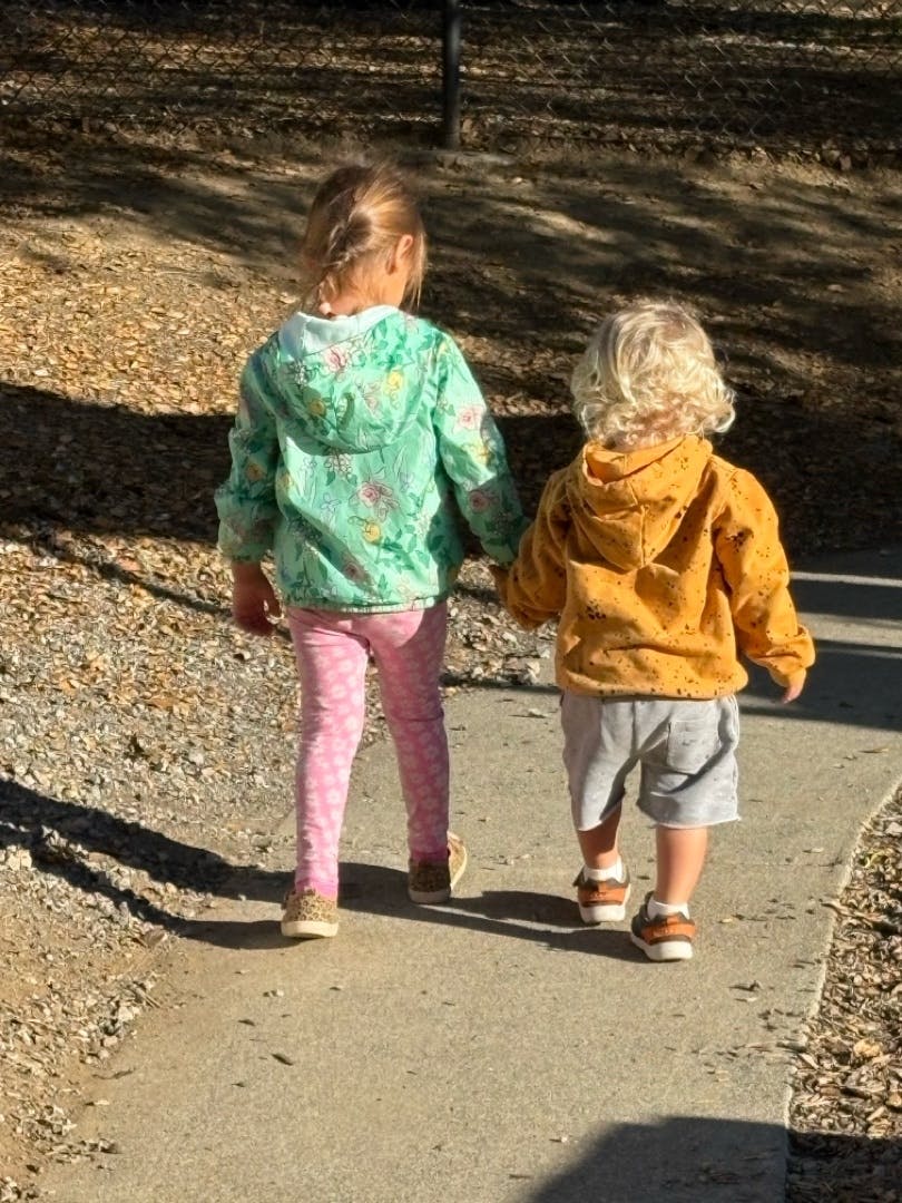 Two children walking away from the camera on a path