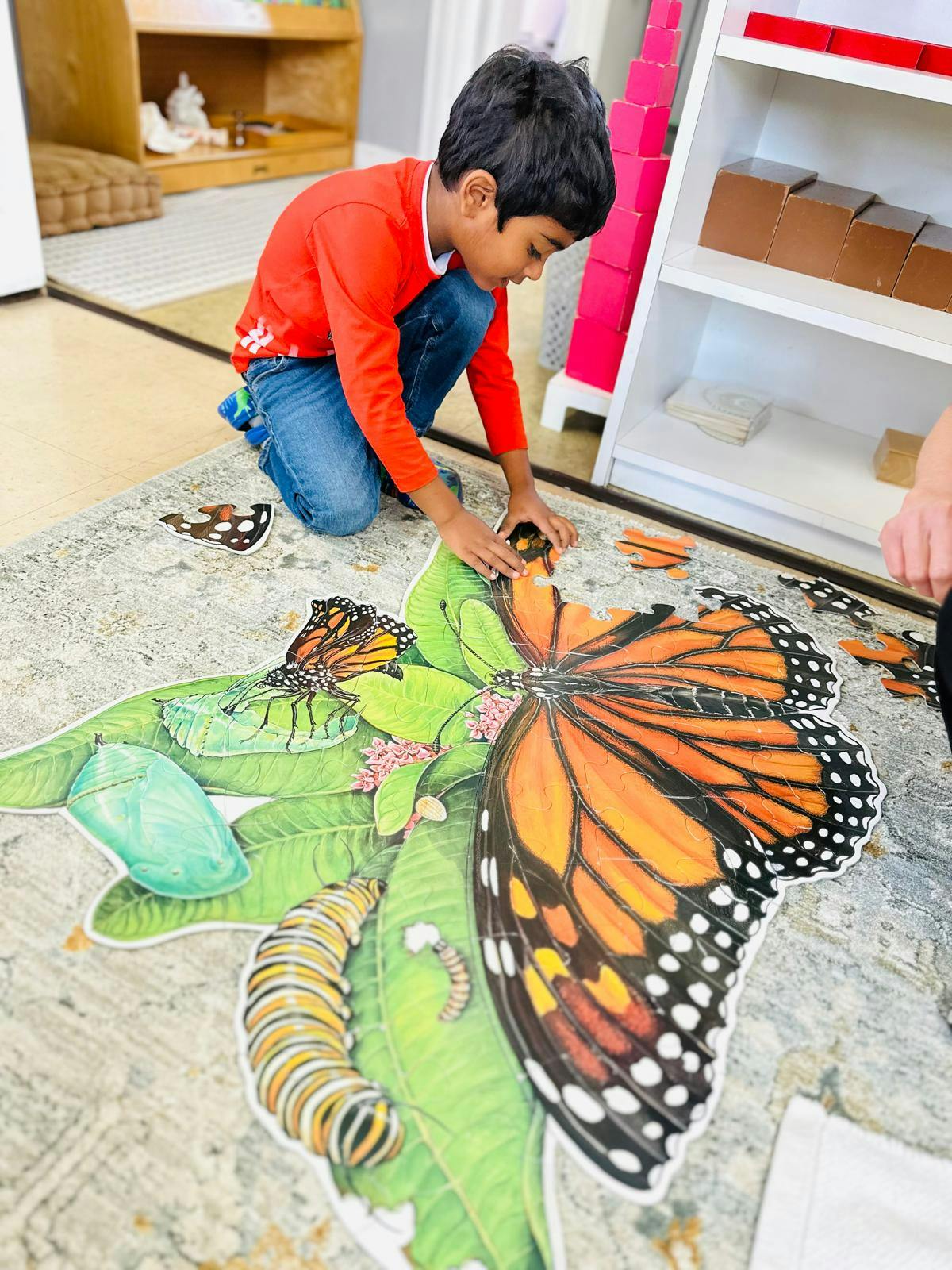 Child kneeling on floor assembling a butterfly life cycle puzzle