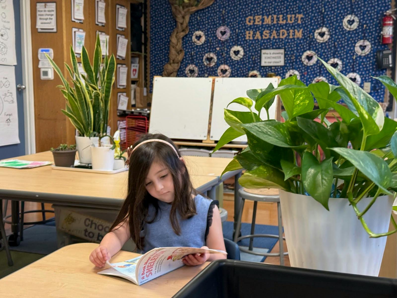 Child sitting at a desk reading a book in a classroom