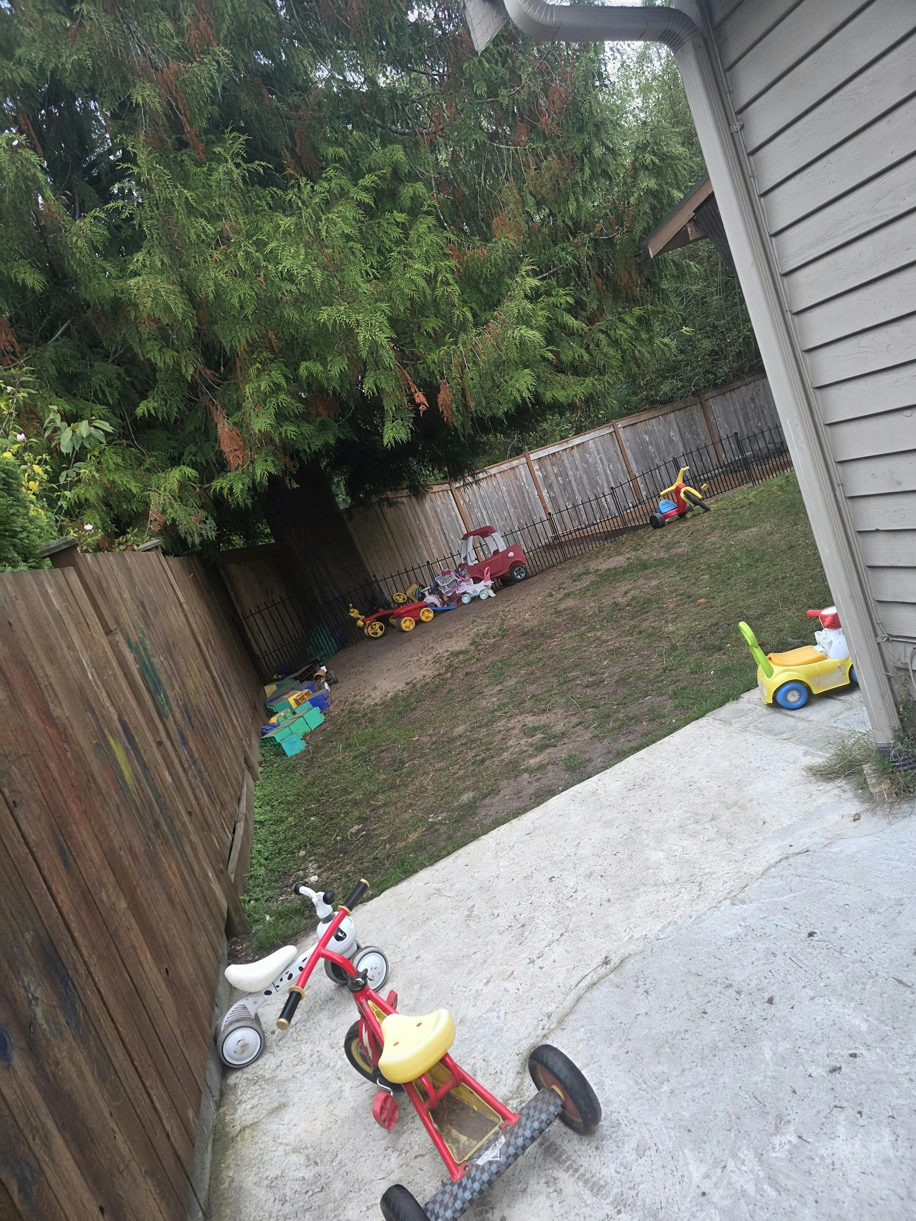 Tricycles and ride-on toys scattered in a residential backyard
