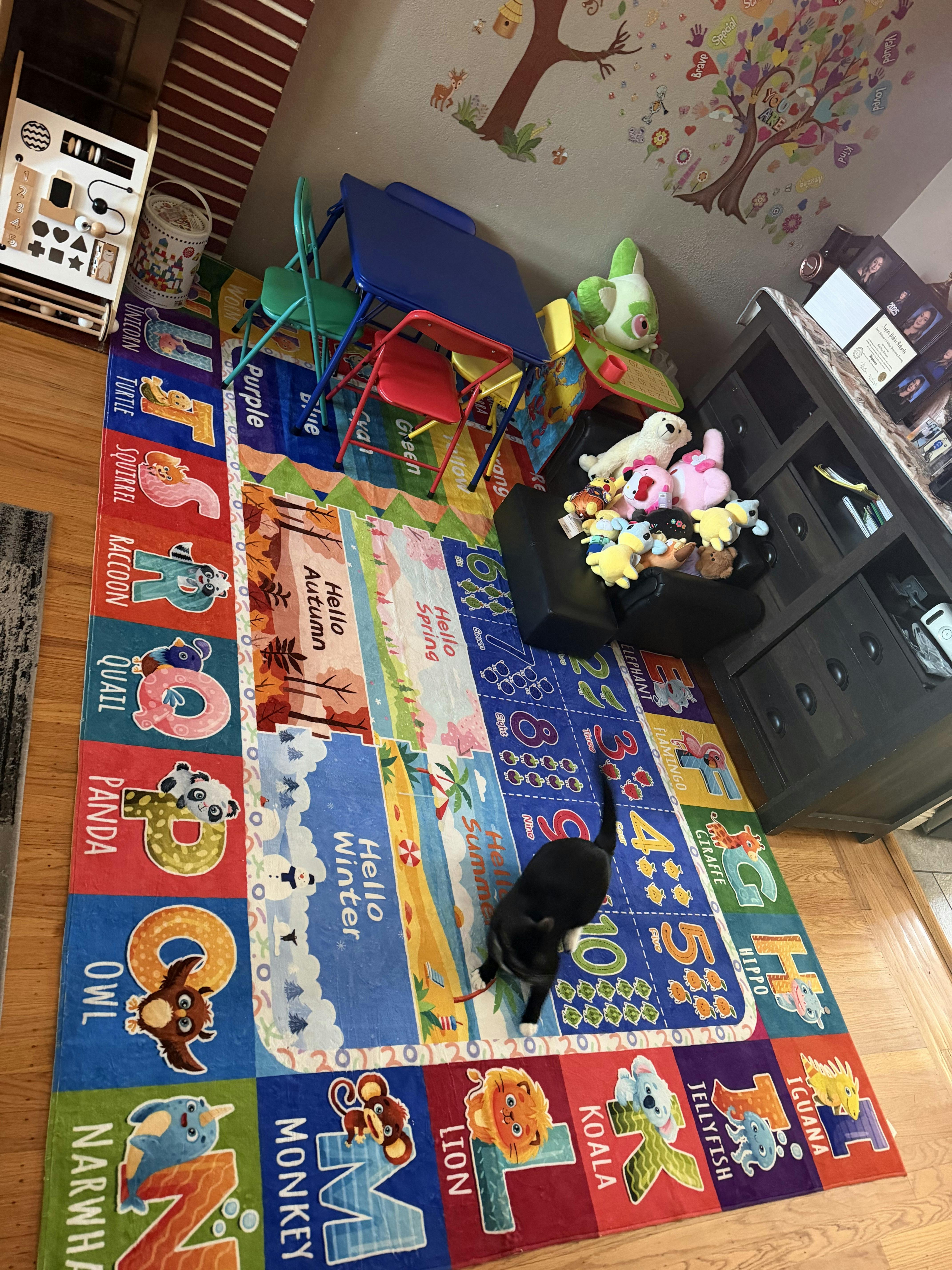 A black cat playing on a colorful educational rug in a children playroom