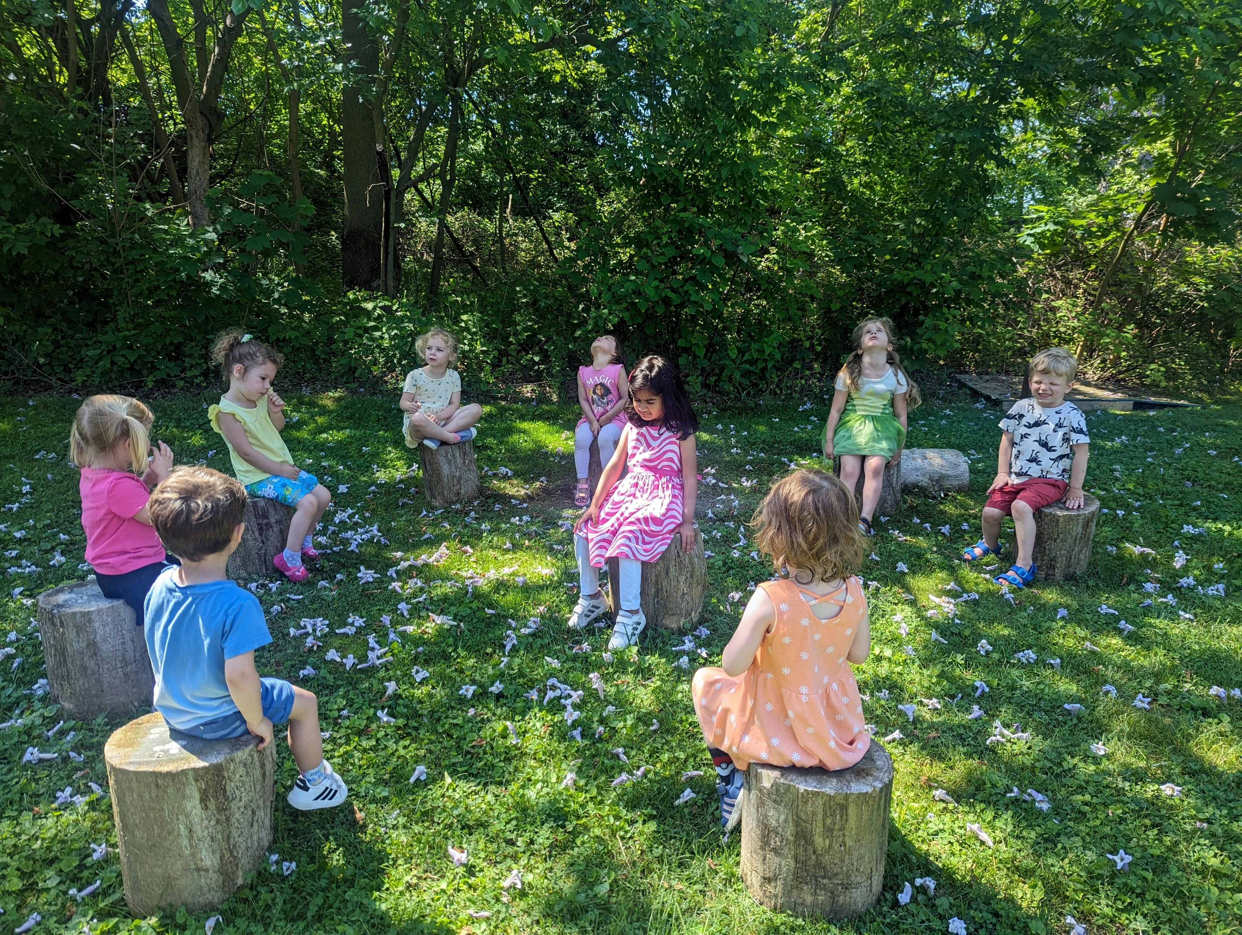 Children sitting on tree stumps in a circle outdoors