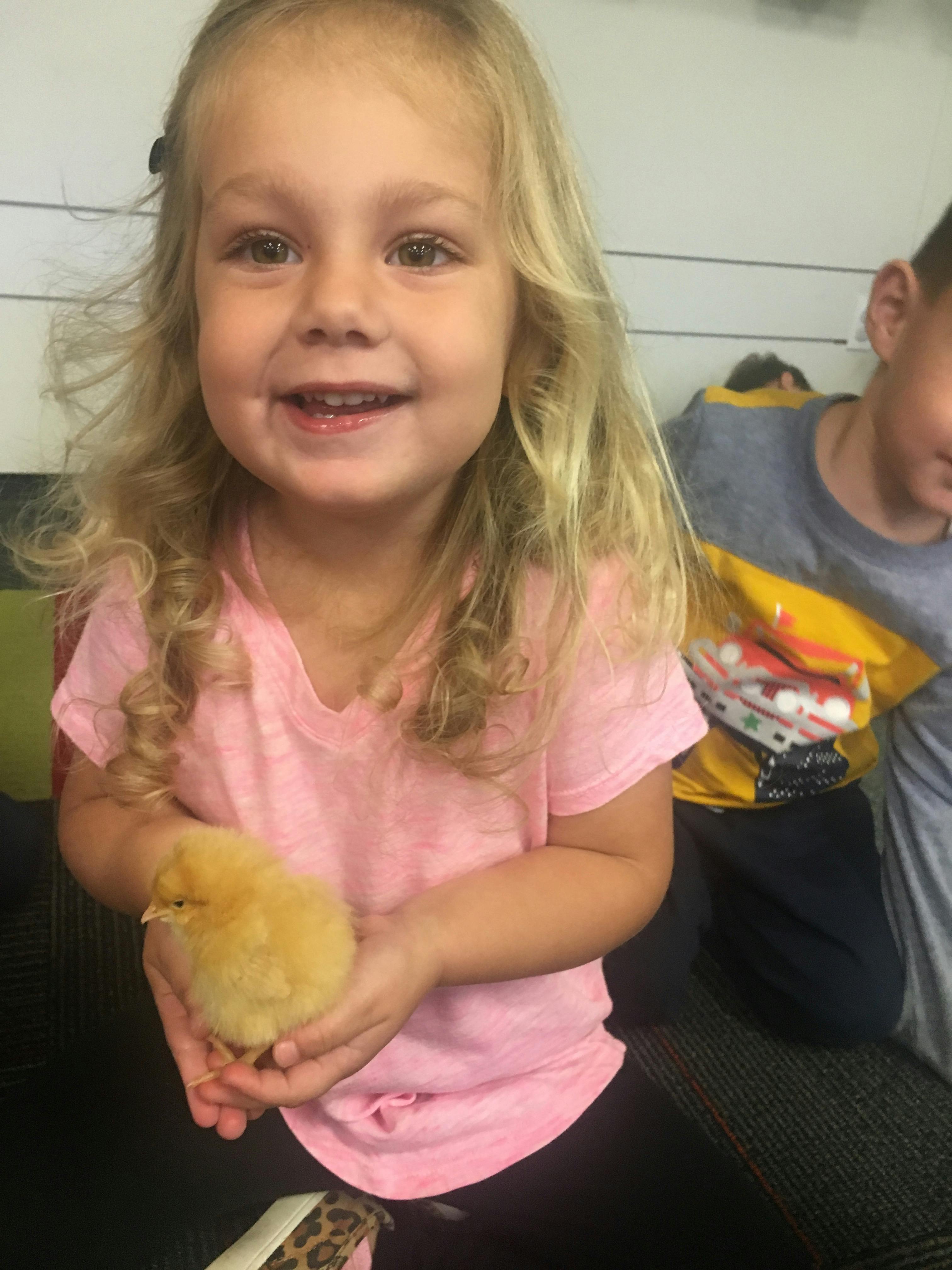 Child holding a chick in their hands