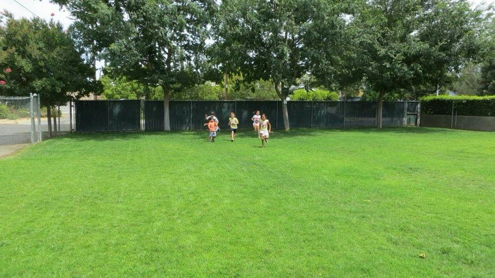Children running across a grassy field